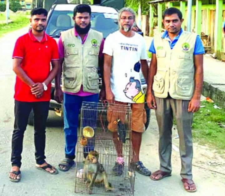  মৌলভীবাজারে শিশু বানর ও পাহাড়ি ময়না পাখি উদ্ধার করলো বন বিভাগ